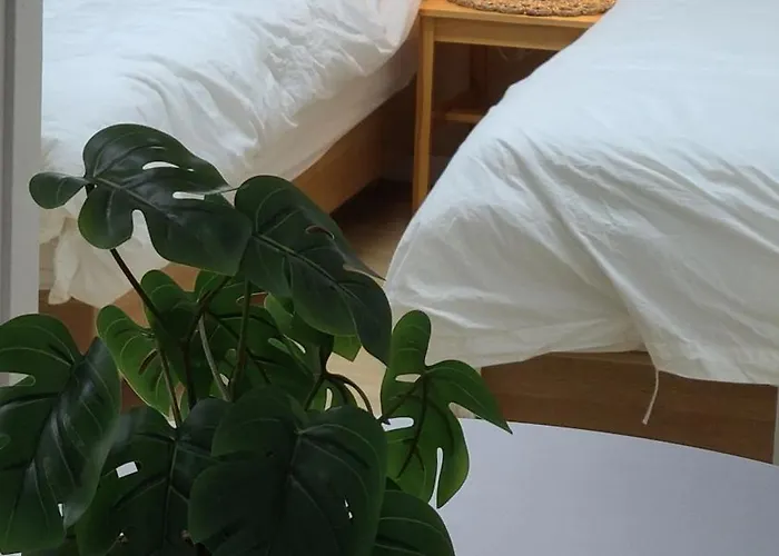 Apartment Good Daisy *